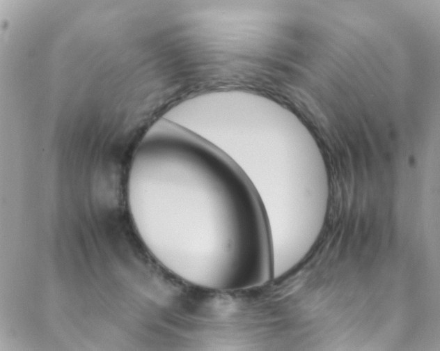 X0000089410416200706150944