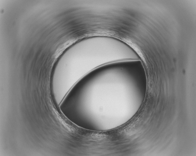 X0000089410437200706150943