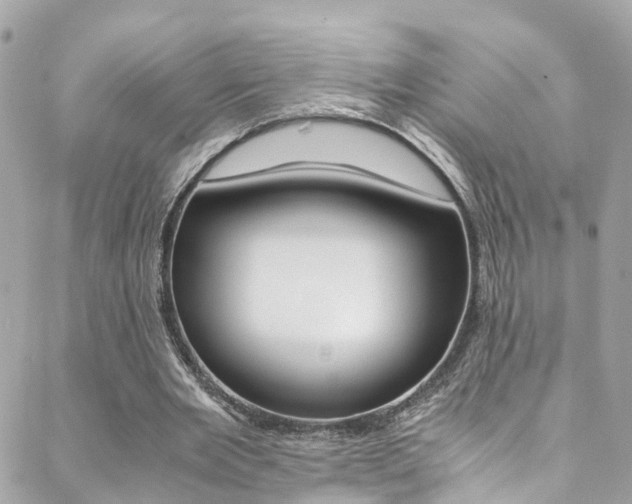 X0000089410485200706150943