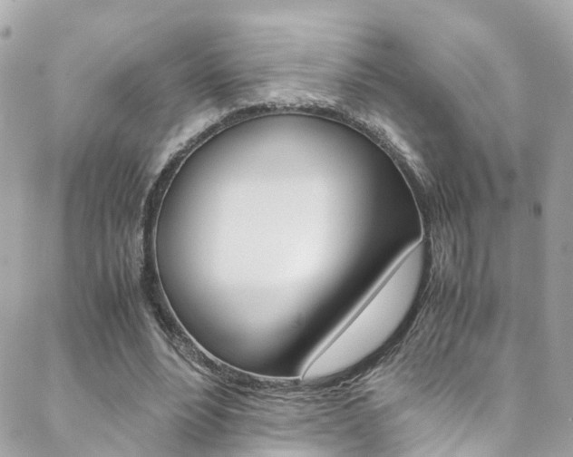 X0000089410488200706150943