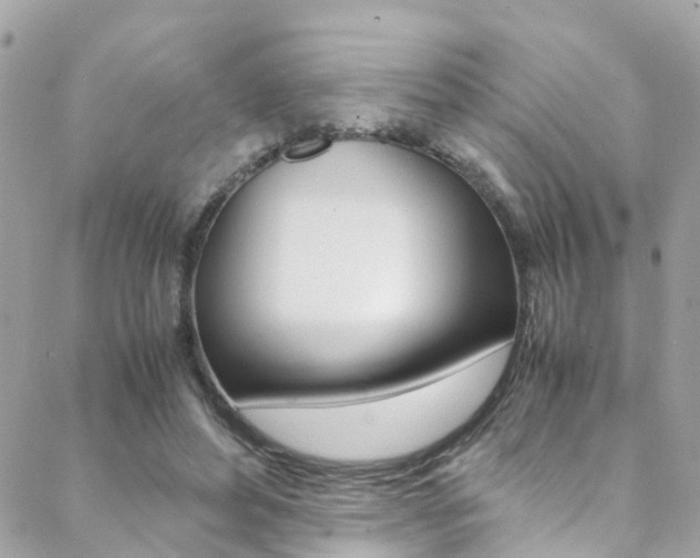 X0000089410496200706150943