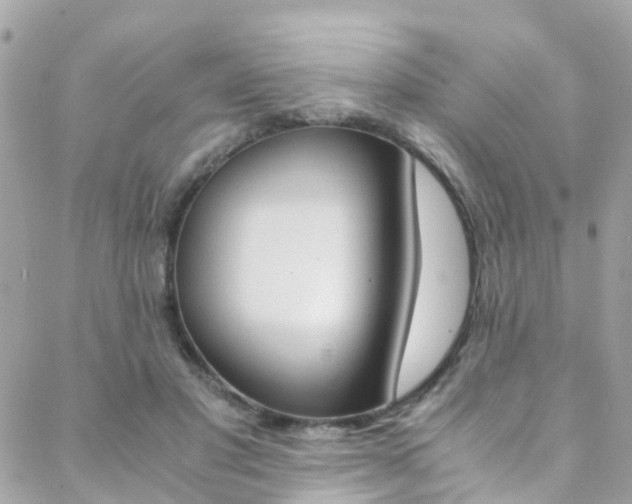 X0000089410501200706150943