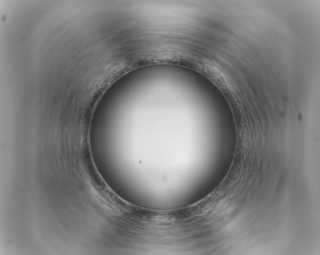 X0000089410546200706150942