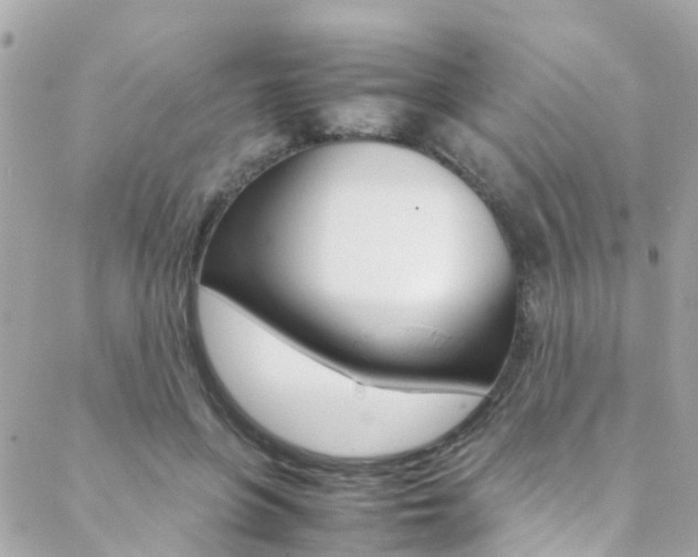 X0000089410551200706150942