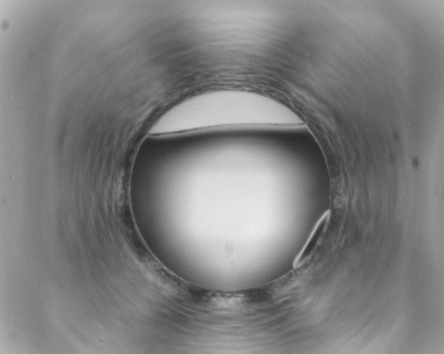 X0000089410560200706150942