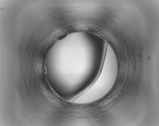 X0000089410600200706150941
