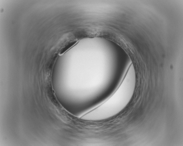 X0000089410601200706150941