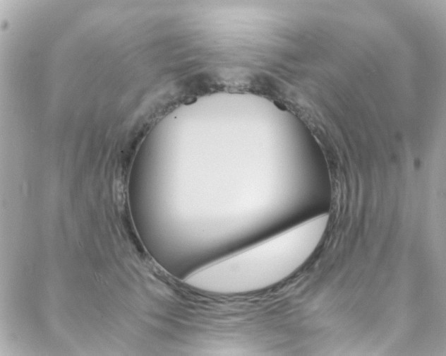 X0000089410609200706150941