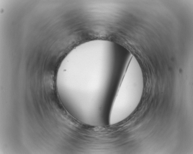 X0000089410612200706150941