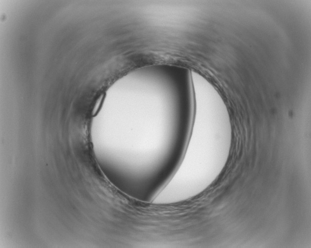 X0000089410613200706150941