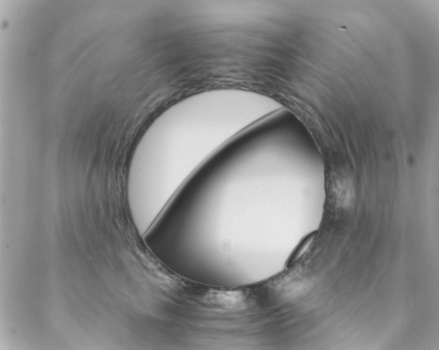 X0000089410665200706150941