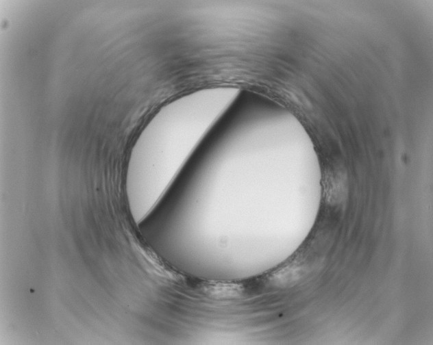 X0000089410670200706150941