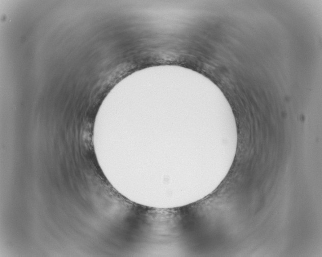 X0000089410672200706150941