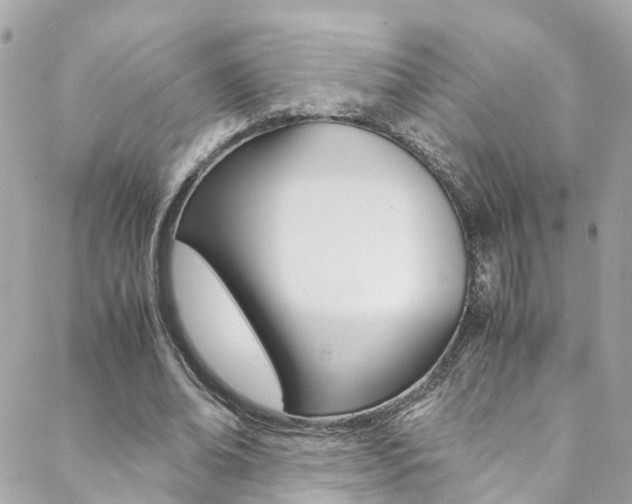 X0000089410678200706150940