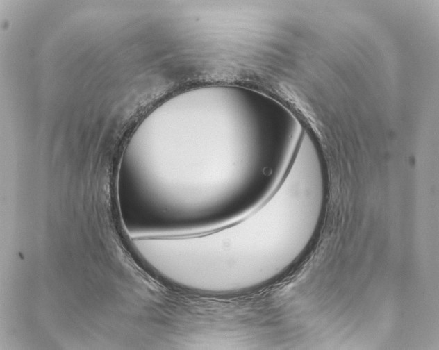 X0000089410681200706150940