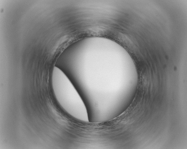 X0000089410694200706150940