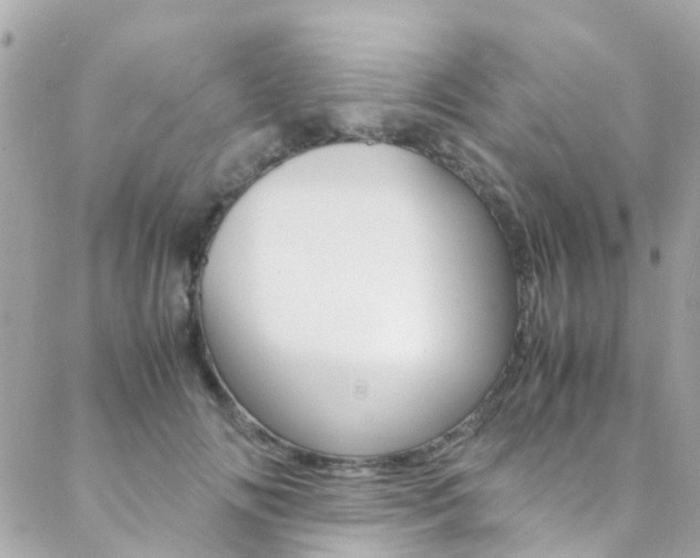 X0000089410702200706150940