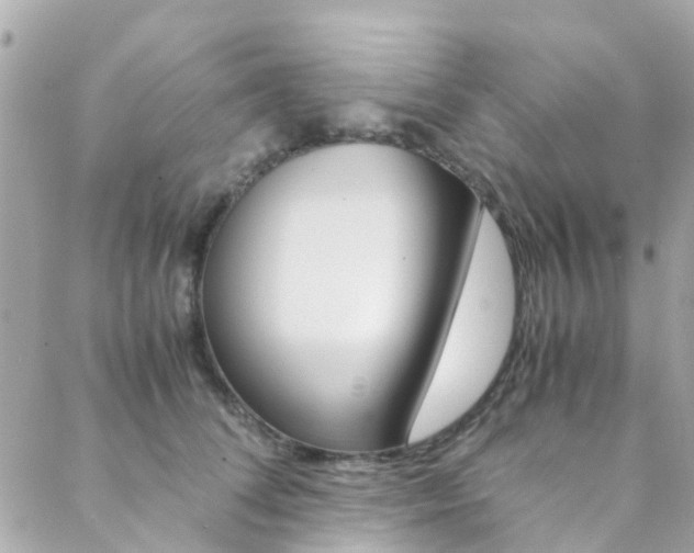 X0000089410708200706150939