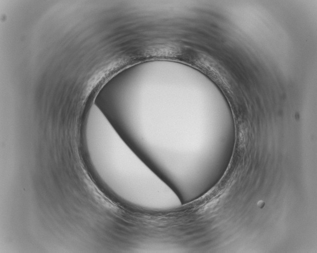 X0000089410725200706150939