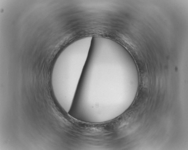 X0000089410737200706150939