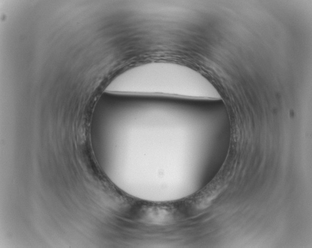 X0000089410751200706150939