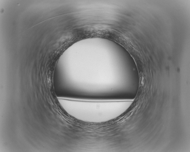 X0000089410771200706150938