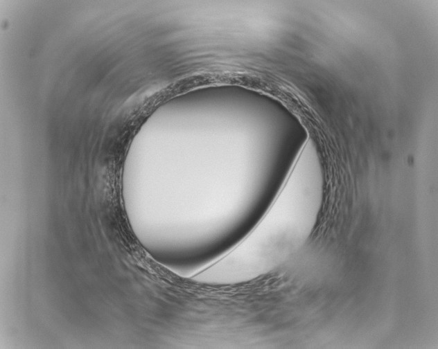X0000089410773200706150938