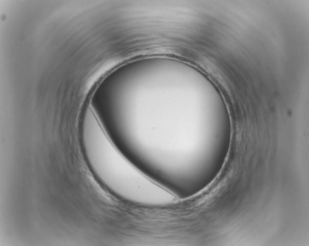 X0000089410789200706150938