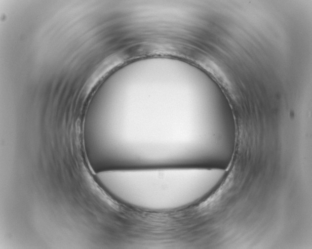 X0000089410798200706150938