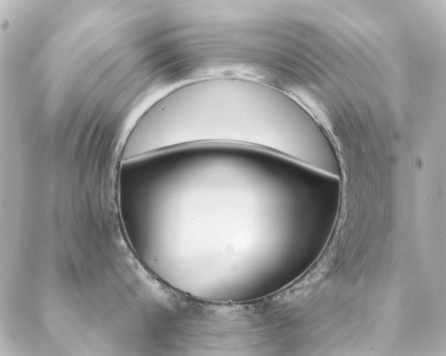 X0000089410816200706150938