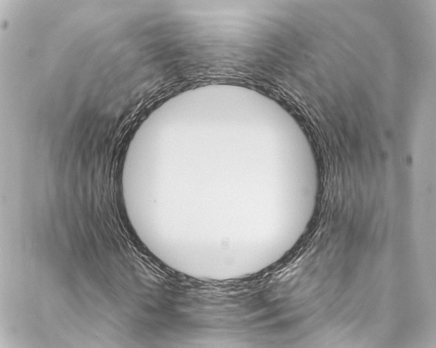 X0000089410818200706150937