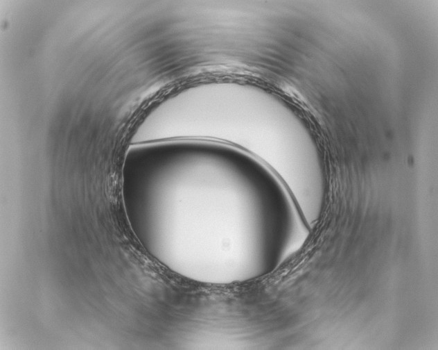X0000089410822200706150937