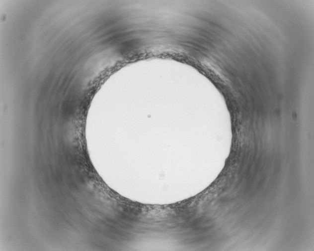 X0000089410824200706150937