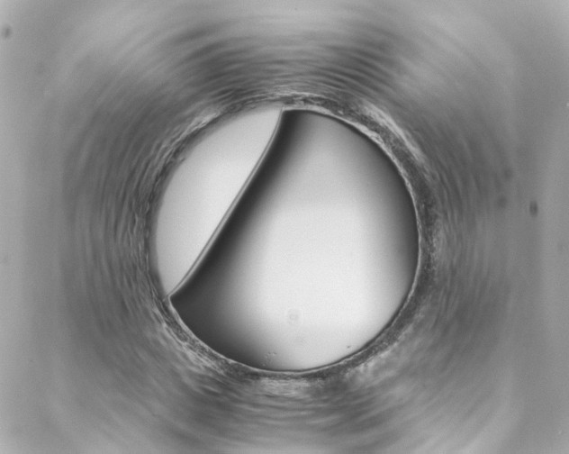 X0000089410825200706150937