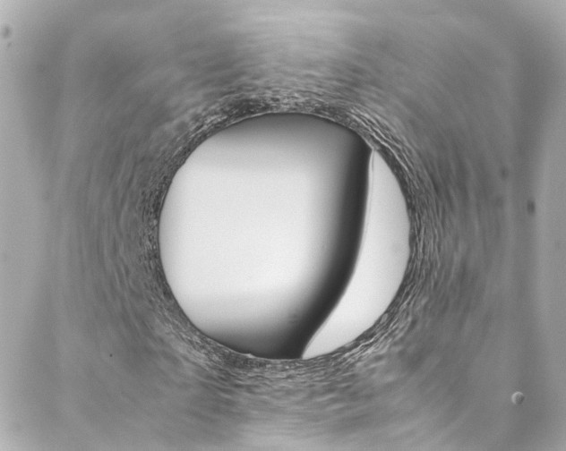 X0000089410865200706150937