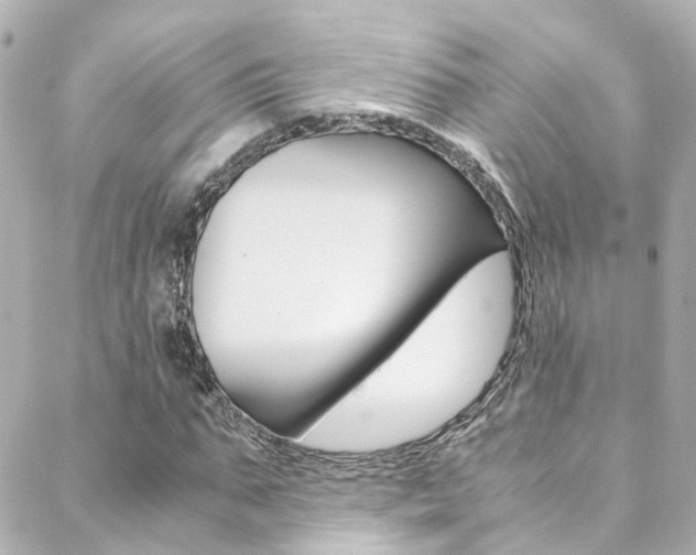 X0000089410871200706150937