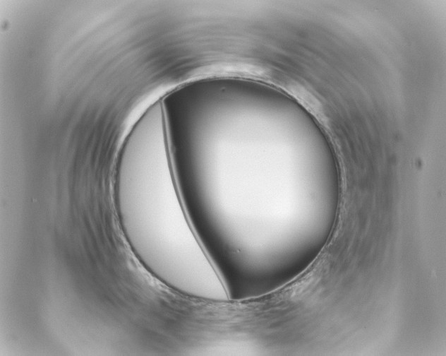 X0000089410912200706150936