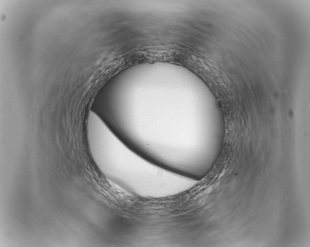 X0000089410913200706150935