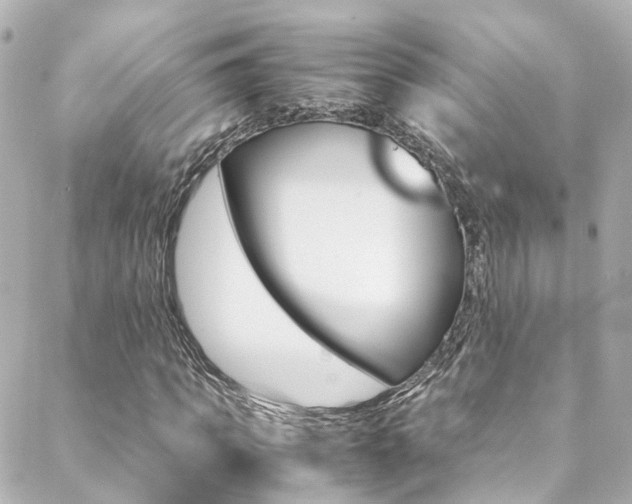 X0000089410917200706150935