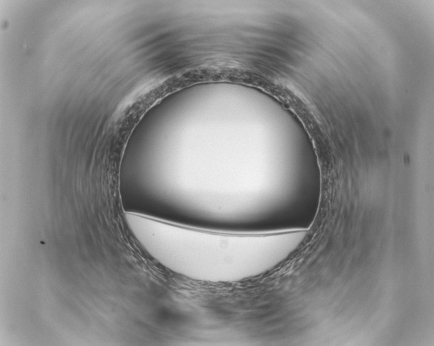 X0000089410919200706150935