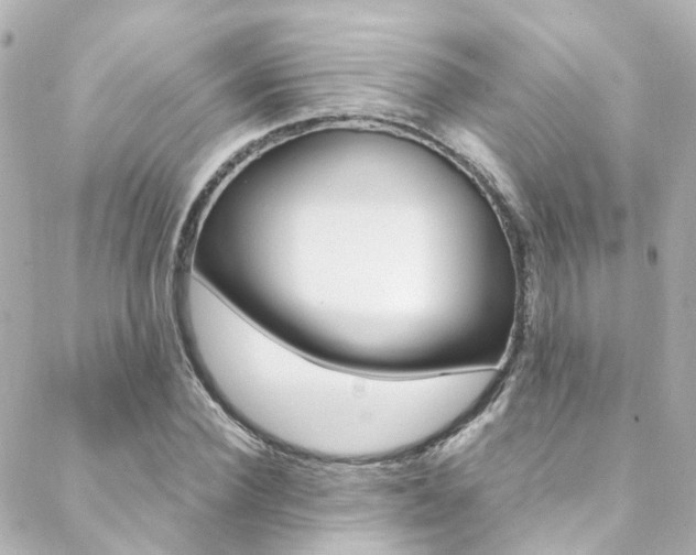 X0000089410924200706150936