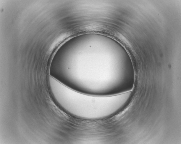 X0000089410930200706150936