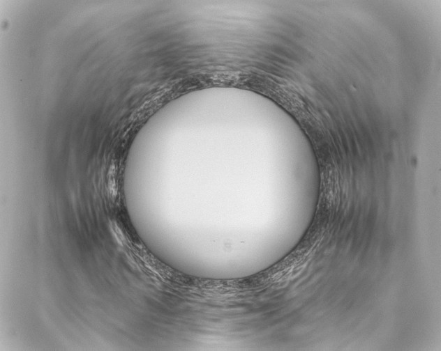 X0000089410962200706150935