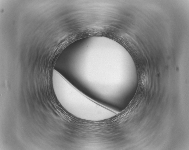 X0000089410964200706150935