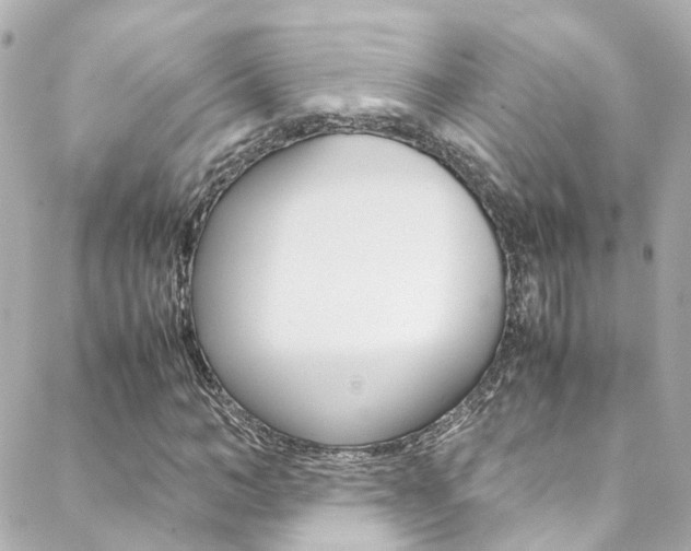 X0000089410966200706150935