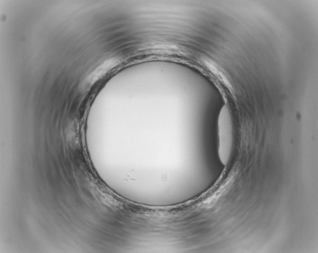 X0000089410970200706150935