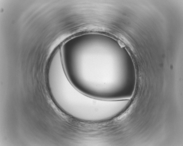 X0000089410981200706150935