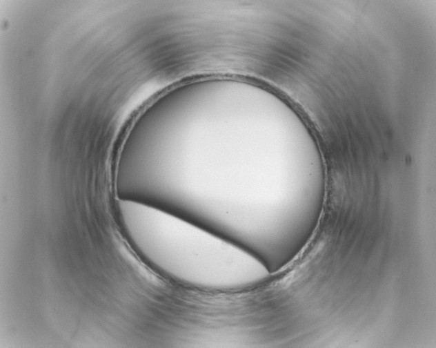 X0000089410982200706150935