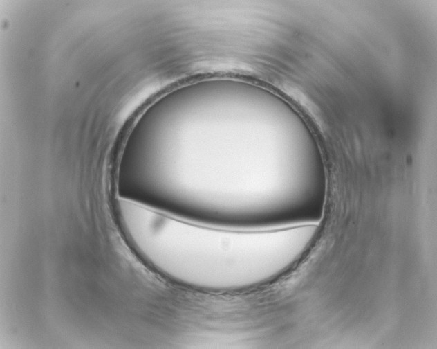 X0000089410983200706150935