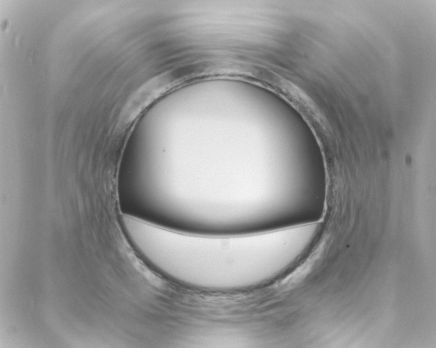 X0000089410985200706150935
